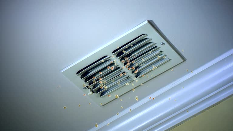Best Ventilation Cleaning Services  in Geneva, IN