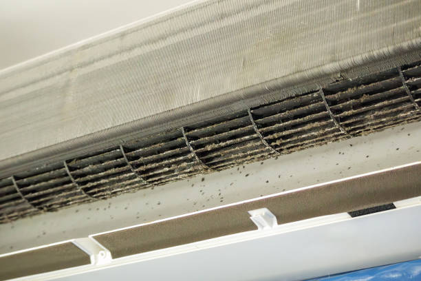 Best Local Air Duct Cleaning Services  in Geneva, IN